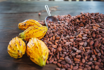 Cocoa liquor